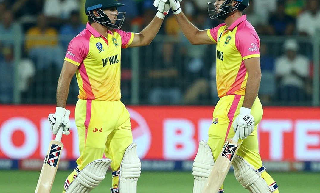 শূন্য ফাইলের সাক্ষ্য: ক্রিকেট বিশ্লেষণের চেইন যখন খালি হয়ে যায়